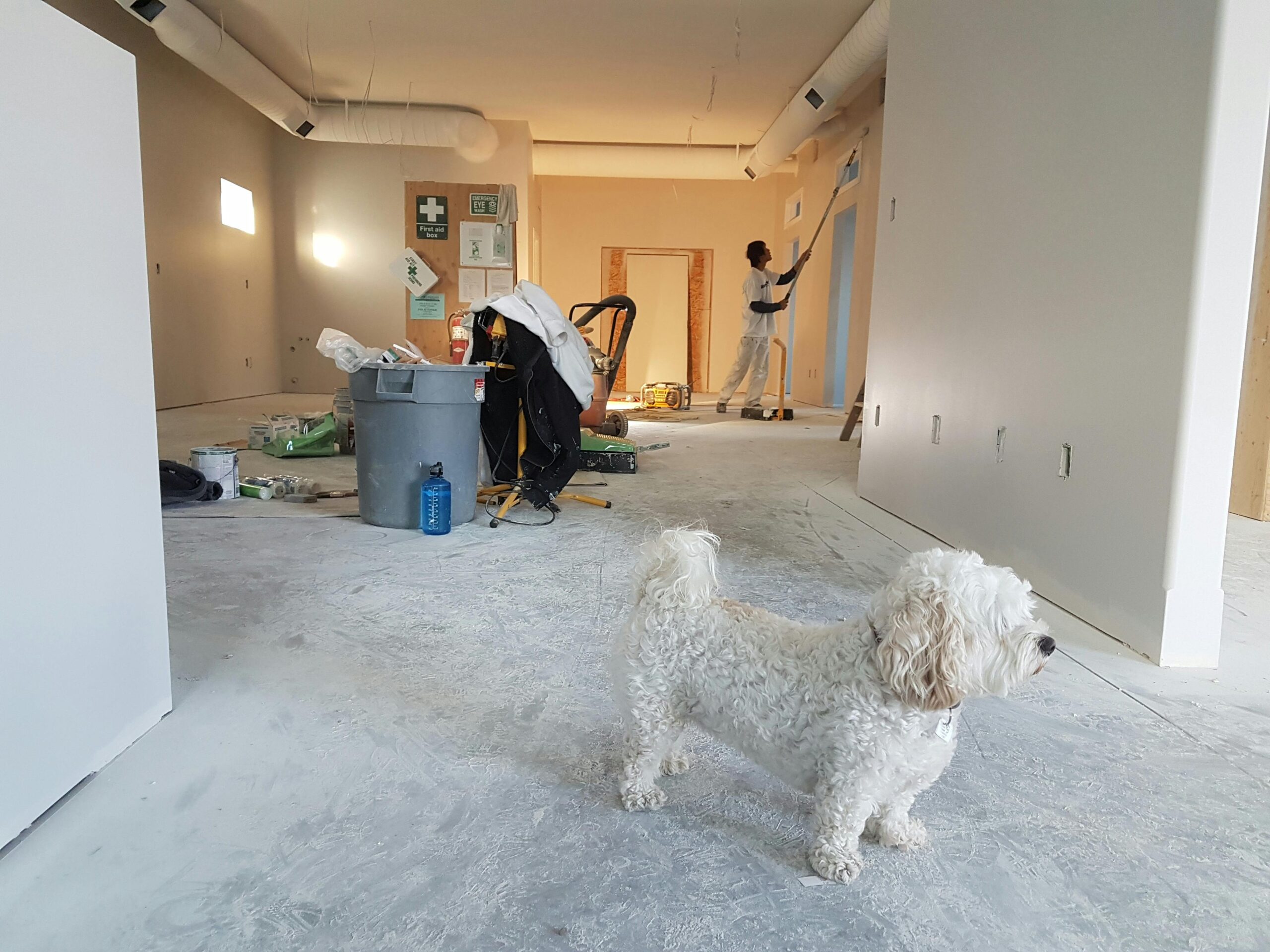 Home Renovations and Remodeling